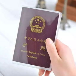 定了！海口人可坐高鐵直達泰國，往返票價竟比飛機便宜一半